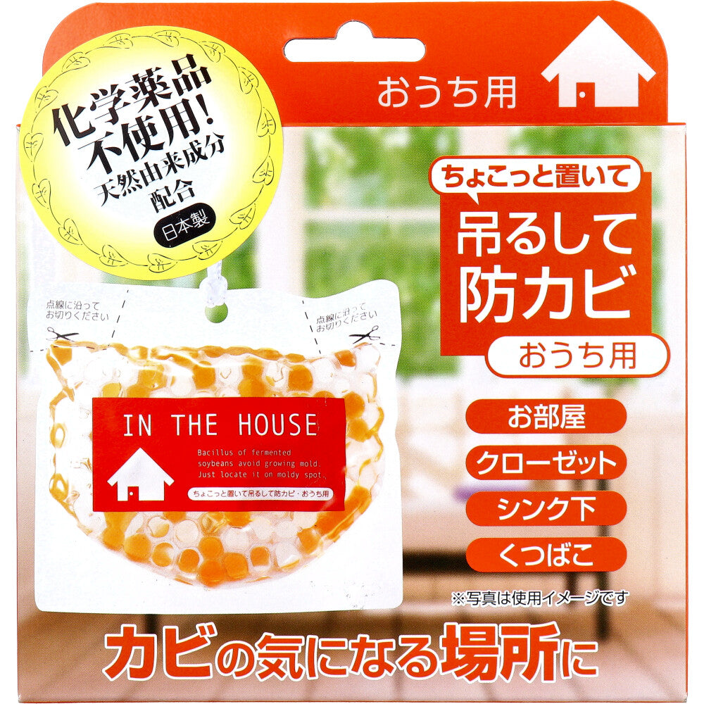 ちょこっと置いて吊るして防カビ おうち用 160g × 48点