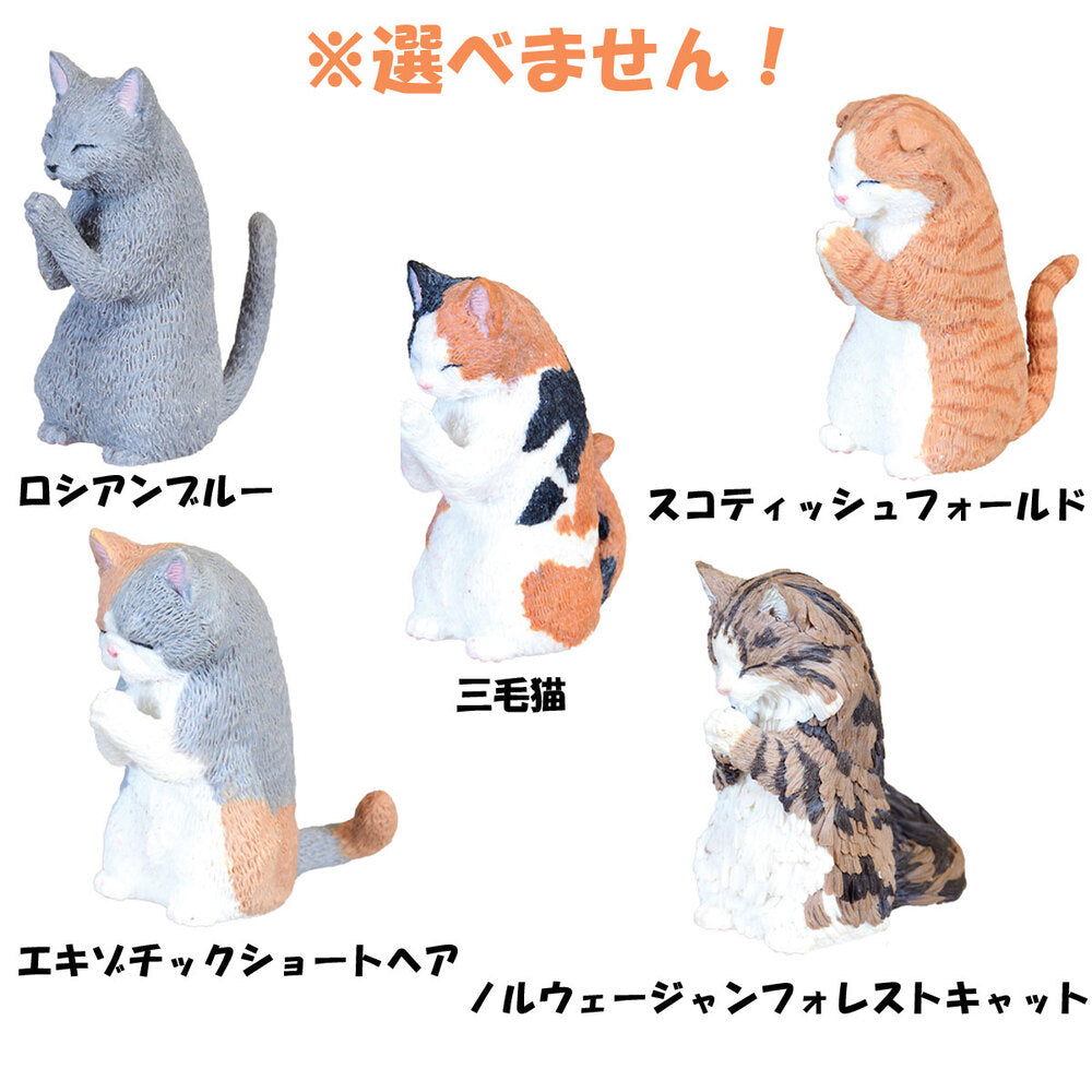 フィギュア 合掌 匠 猫拝 BOX 1個入 × 140点