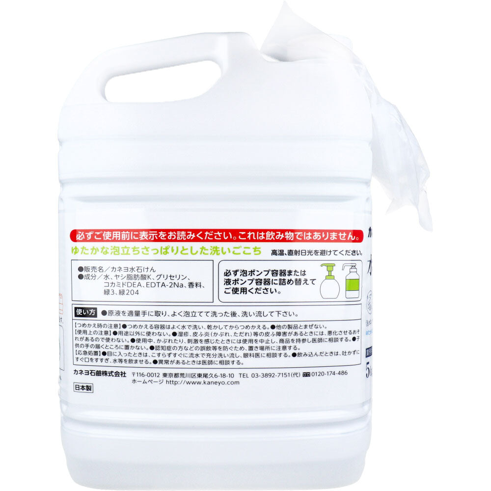 業務用 水石けん 泡ポンプ・液ポンプ兼用 シトラスの香り 5kg