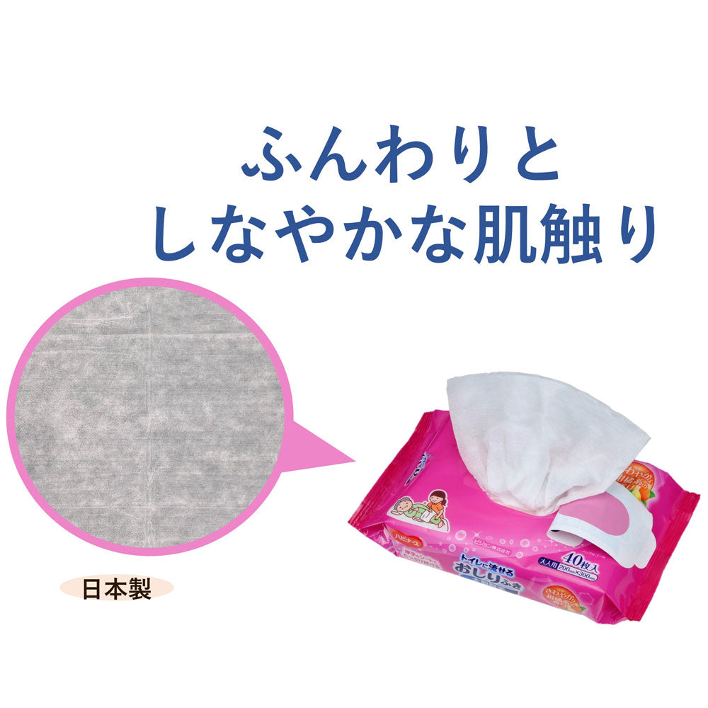 ハビナース トイレに流せるおしりふき 大判厚手 40枚入 × 24点
