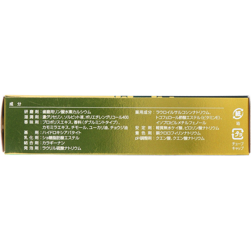 薬用歯みがき ネオセプデント EX 80g × 60点
