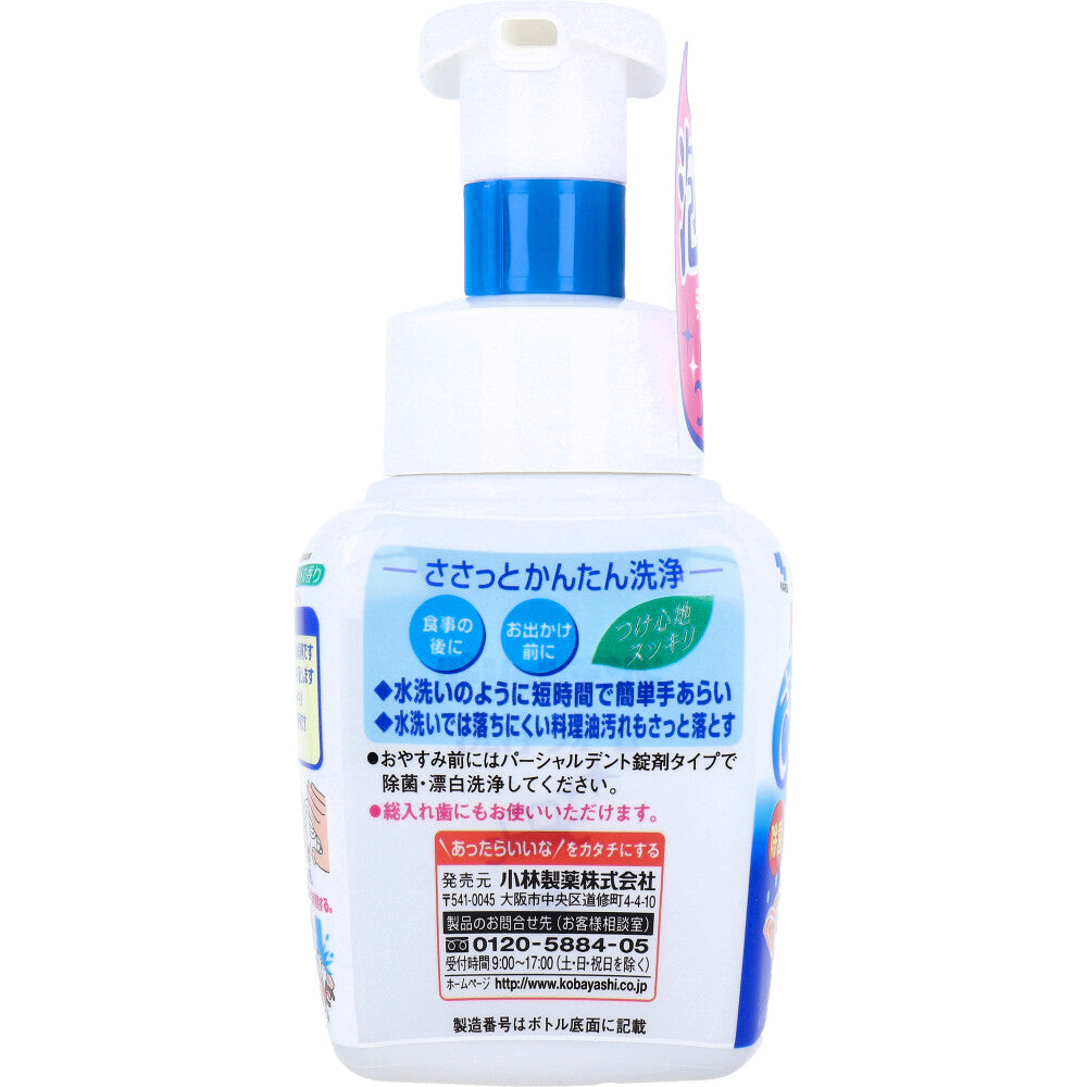 パーシャルデント洗浄フォーム 部分入れ歯用 ミントの香り 250mL × 24点