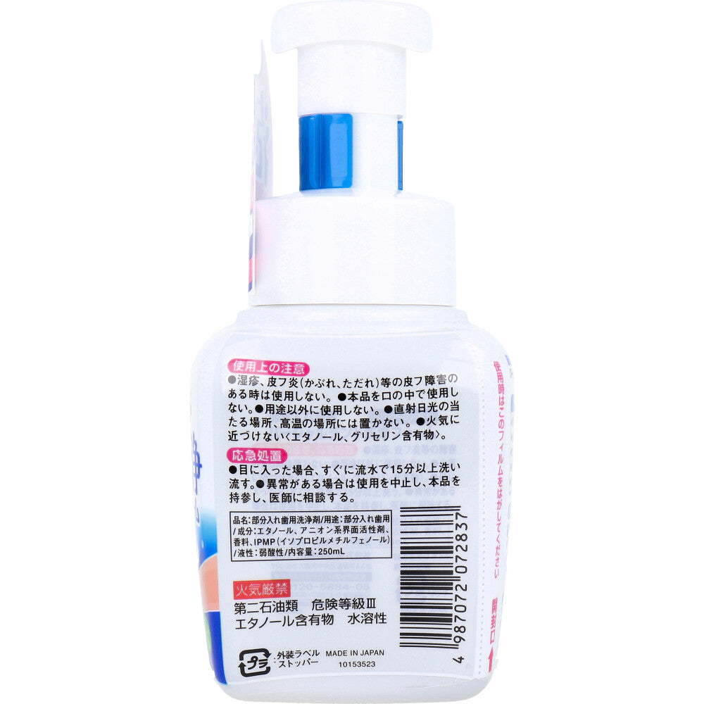 パーシャルデント洗浄フォーム 部分入れ歯用 ミントの香り 250mL × 24点