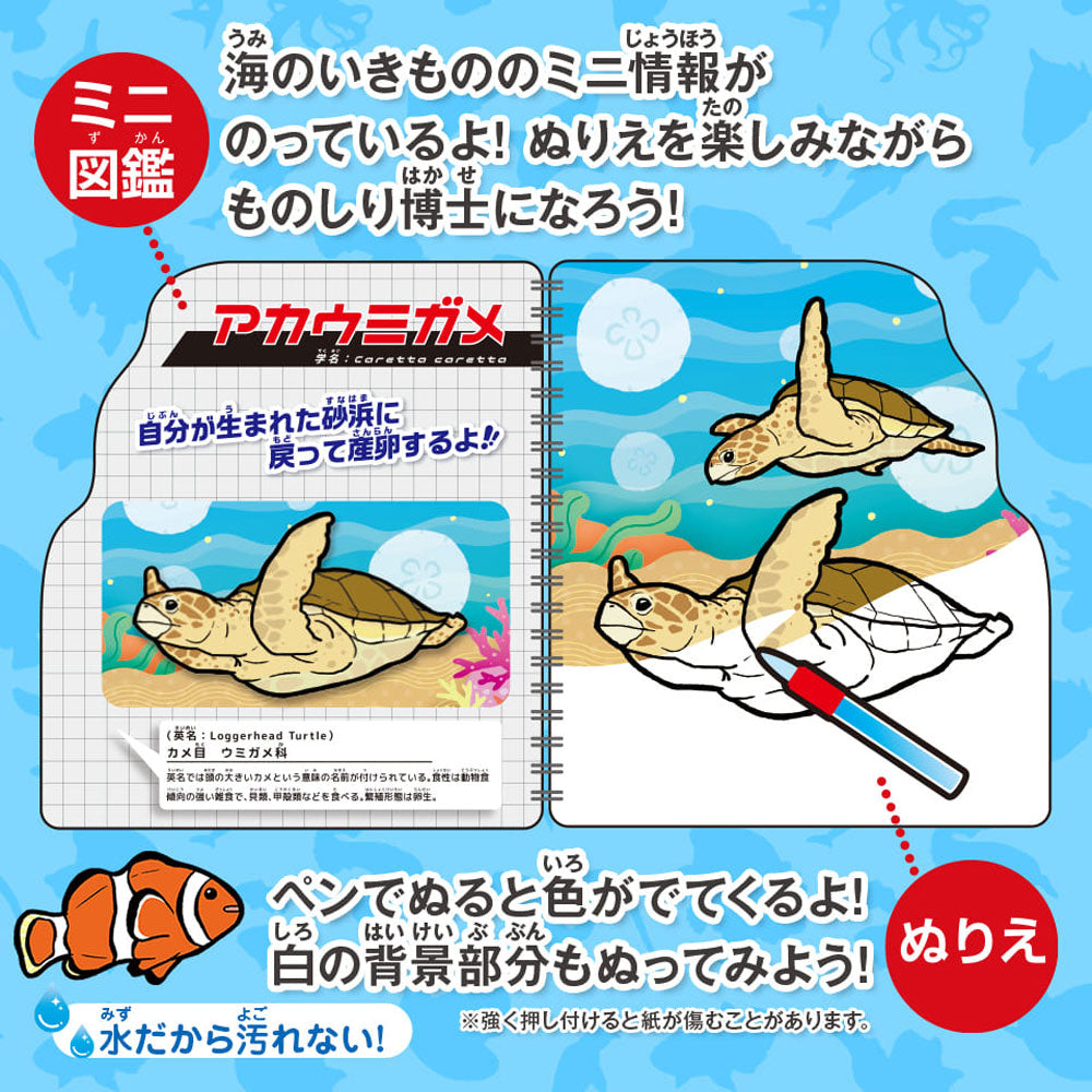 水ぬりえ 海のいきもの図鑑 1セット
