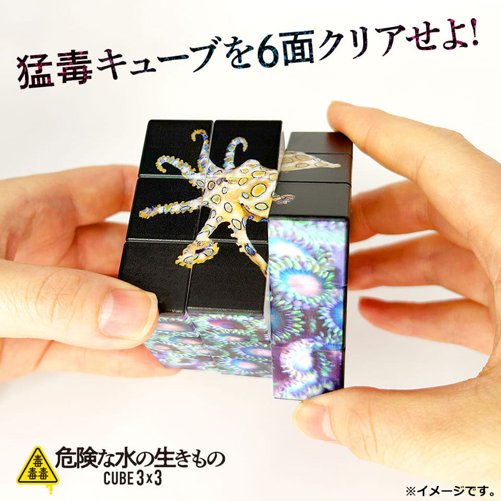 毒毒毒 危険な水の生きもの CUBE 3×3(キューブ スリーバイスリー) 1個入