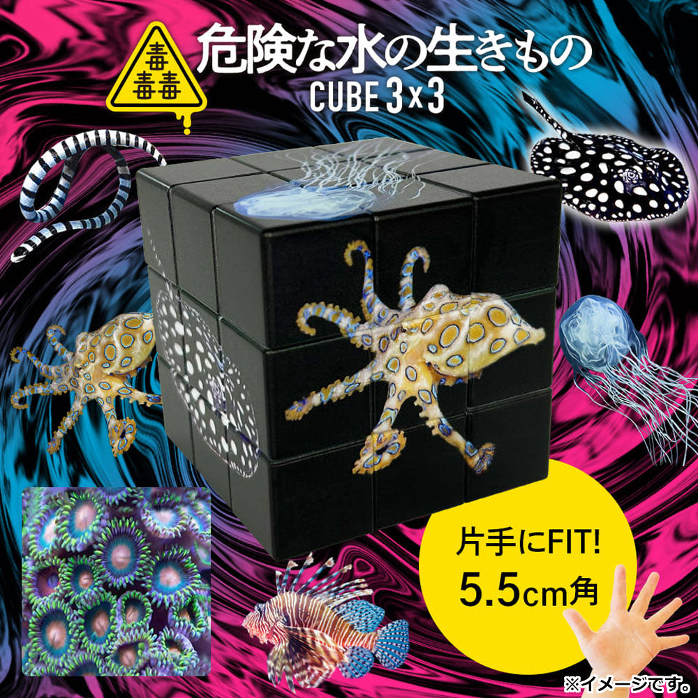 毒毒毒 危険な水の生きもの CUBE 3×3(キューブ スリーバイスリー) 1個入