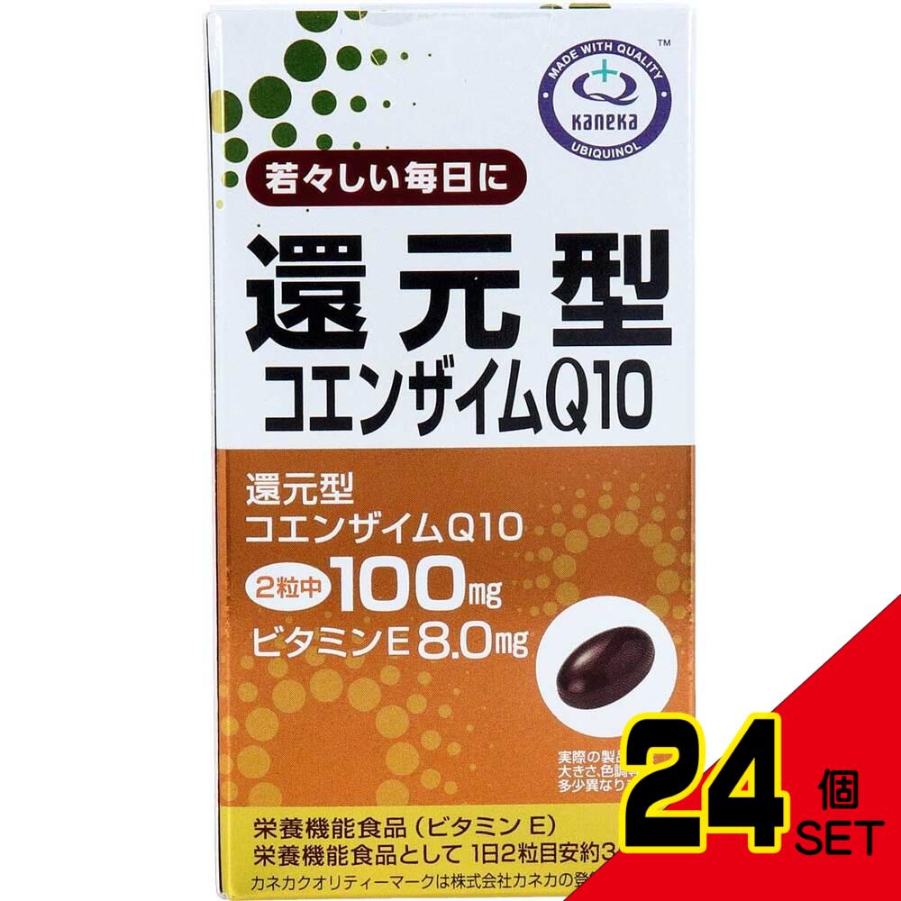 還元型コエンザイムQ10 60粒入 × 24点