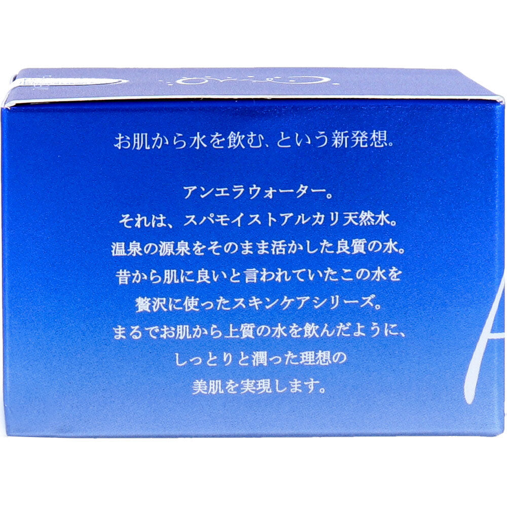 アンエラ スパモイスト クリーム 30g × 48点