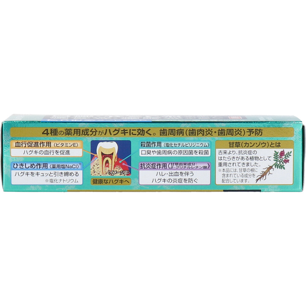 サンスター薬用塩ハミガキ すっきりハーブタイプ 85g