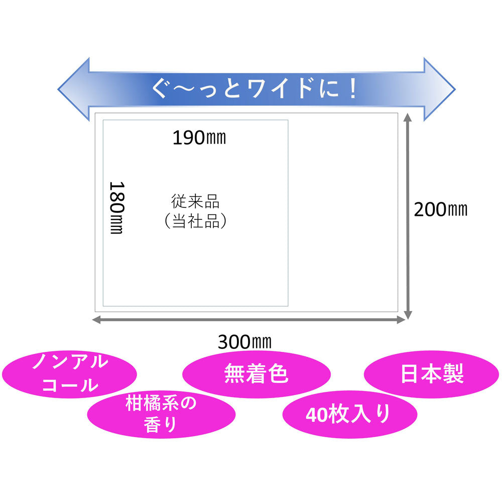 ハビナース トイレに流せるおしりふき 大判厚手 40枚入