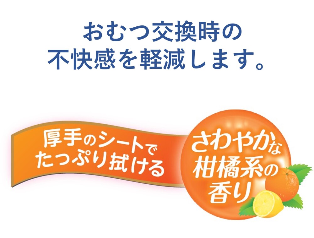 ハビナース トイレに流せるおしりふき 大判厚手 40枚入