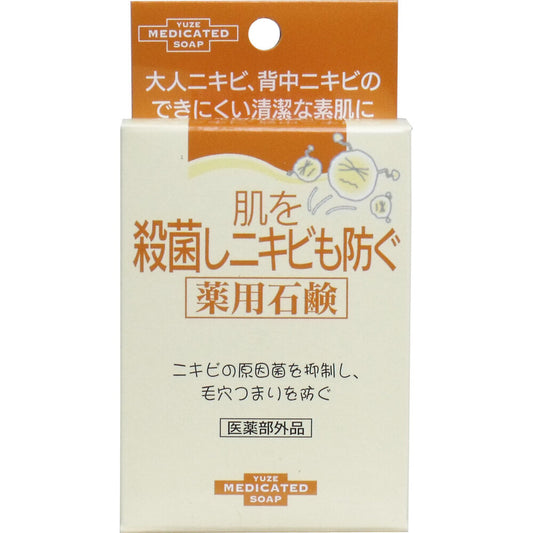 肌を殺菌しニキビも防ぐ薬用石鹸 110g