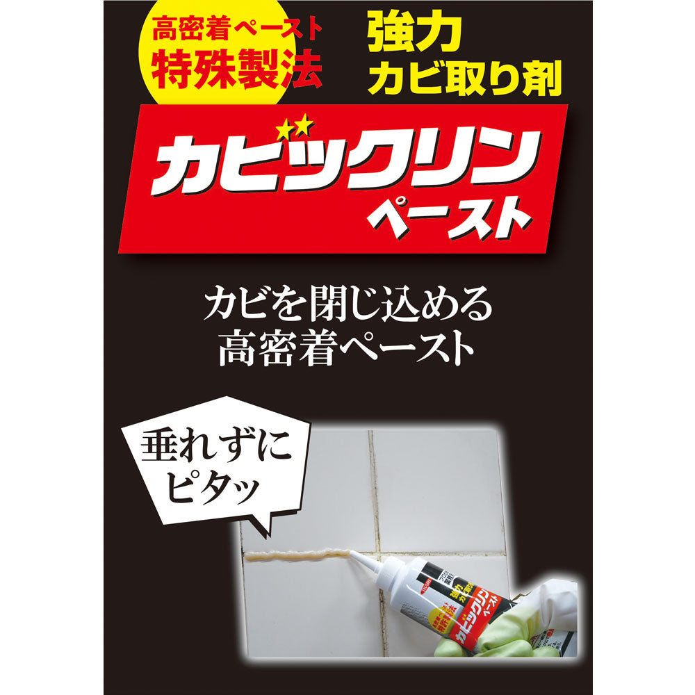 イカリ カビックリンペースト 120g × 24点