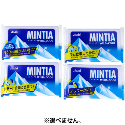 ※ミンティア ワイルド&クール 50粒入 × 200点