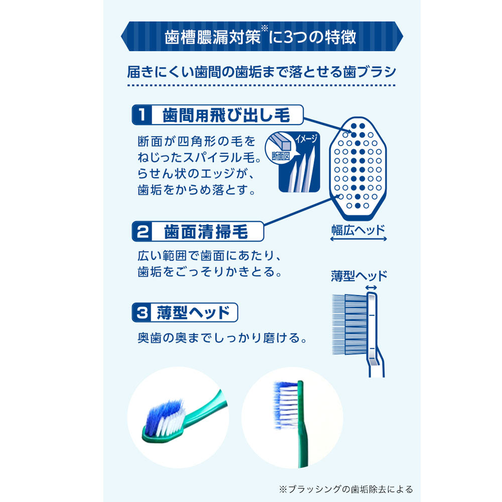 生葉 歯間に入るブラシ レギュラーヘッド ふつう 1本入