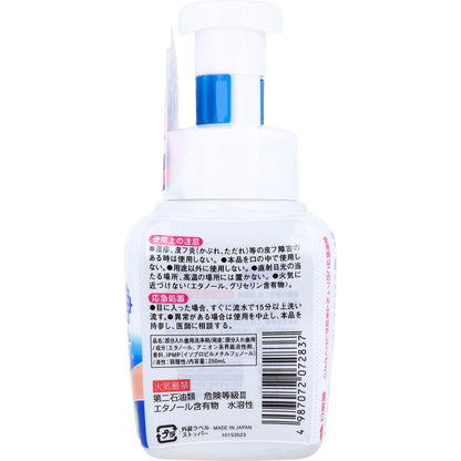 パーシャルデント洗浄フォーム 部分入れ歯用 ミントの香り 250mL