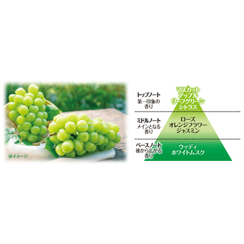 サワデー香るスティック フルーツ マスカット&リーフ 70mL × 21点