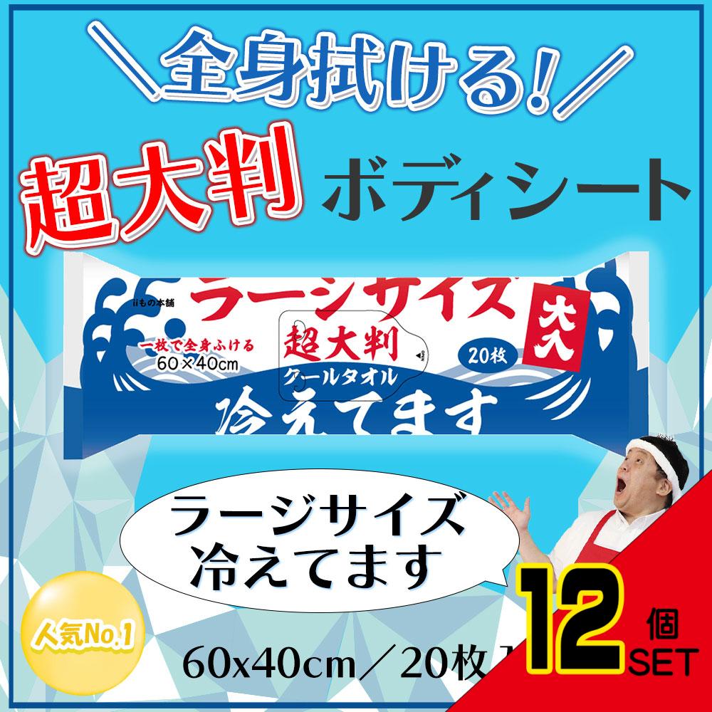 超大判 クールタオル ラージサイズ冷えてます 約60×40cm 20枚入 × 12点