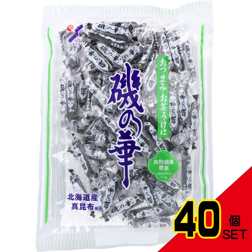 ※磯の華 250g × 40点