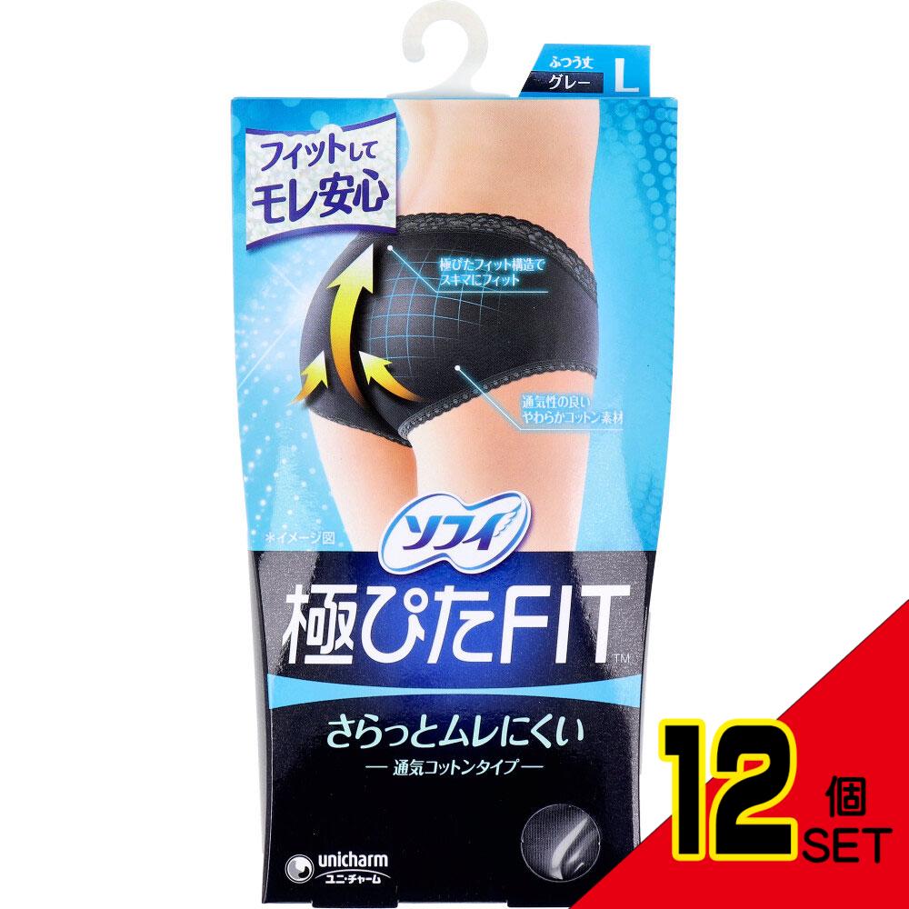 ソフィ 極ぴたFIT 通気コットンタイプ Lサイズ グレー 1枚入 × 12点