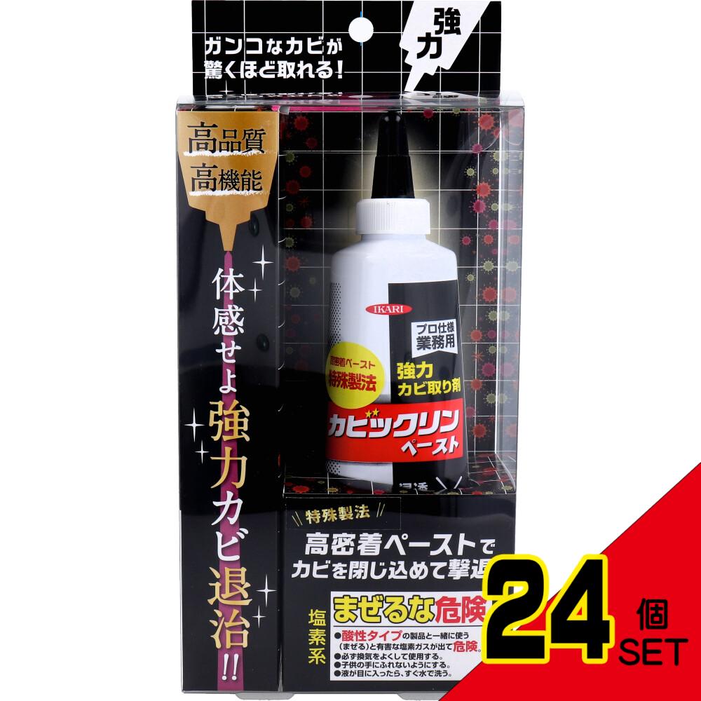 イカリ カビックリンペースト 120g × 24点