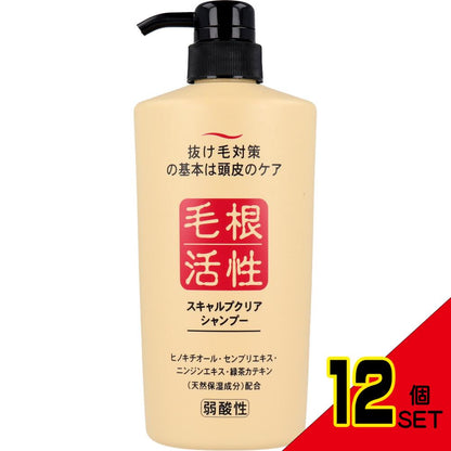 スキャルプクリア シャンプー 550mL × 12点