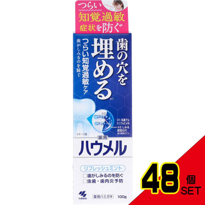 薬用ハミガキ ハウメル フレッシュミント 100g × 48点